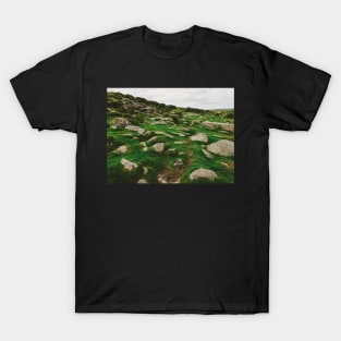 Dartmoor National Park - Many Rocks Embedded in Green Grass T-Shirt